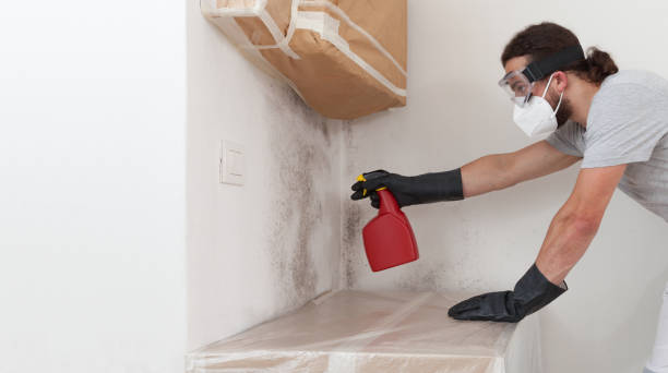 Attic Mold Remediation treatment on roof deck in Jenison